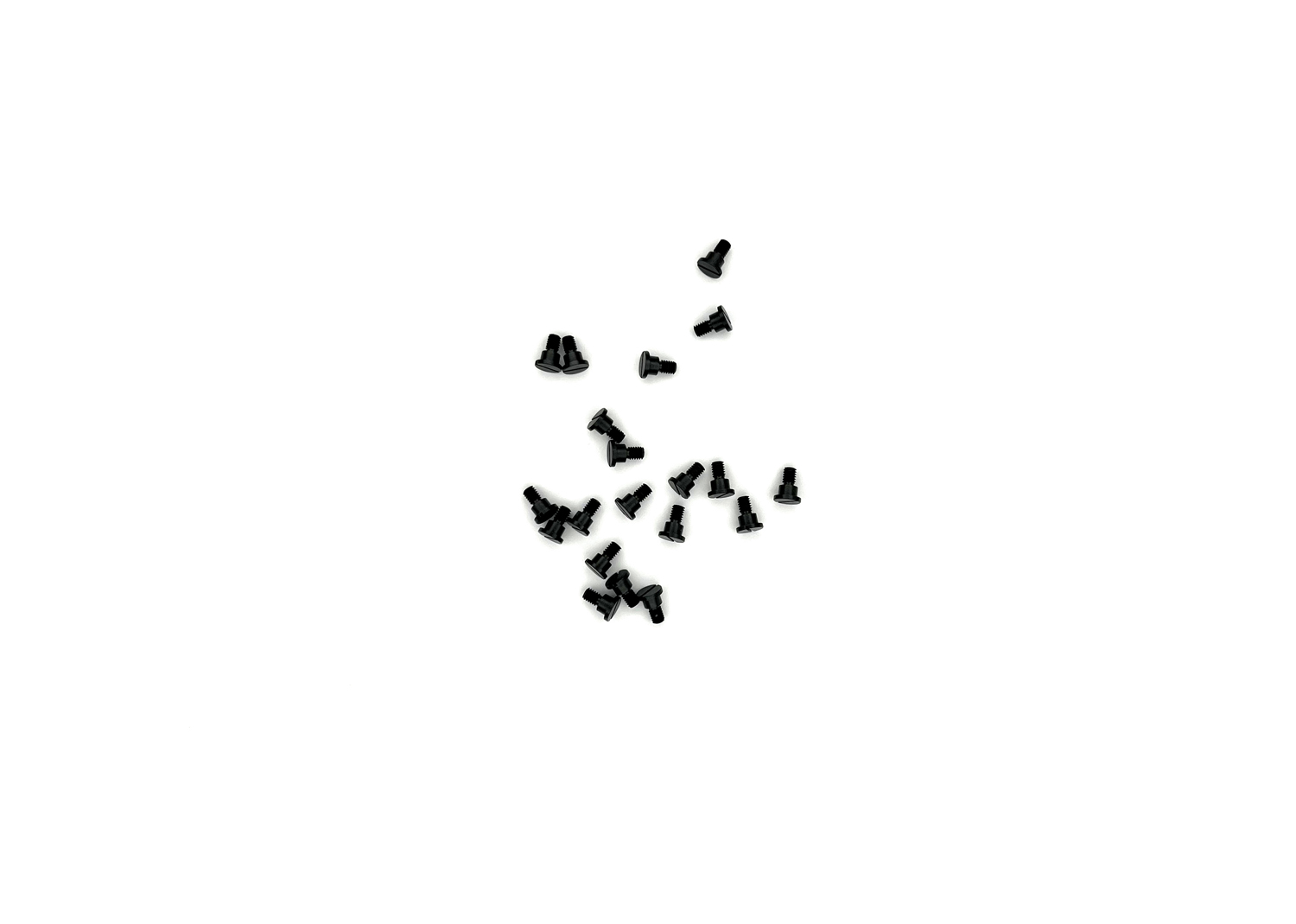  E755250 - SCHRAUBE-ZYL.ANS.M 2,5 (10 St